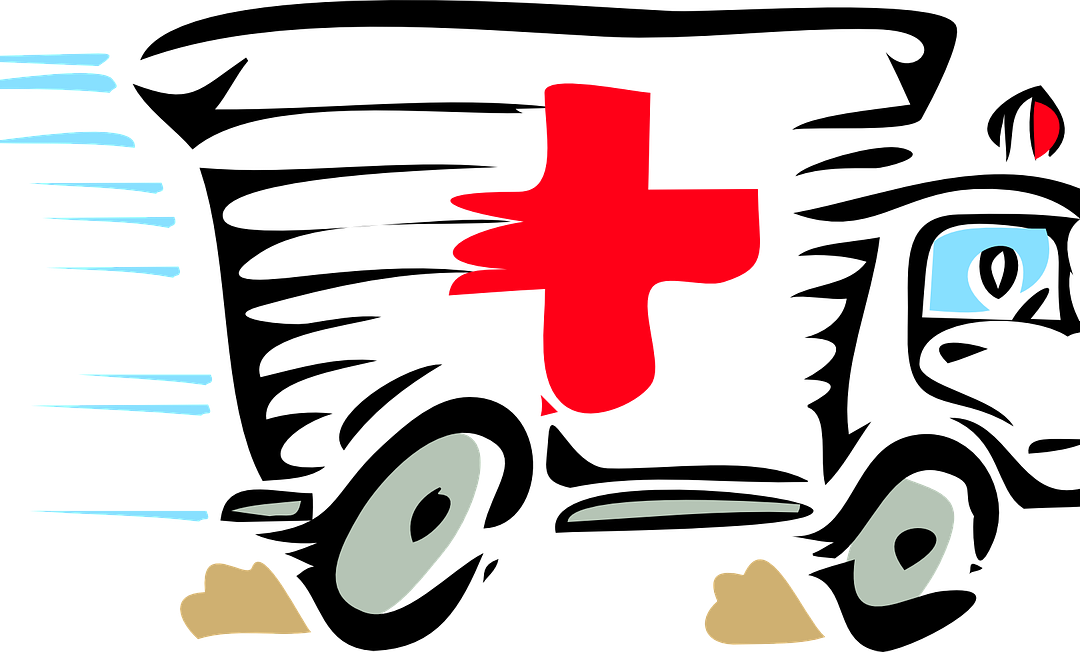 Ateliers Situations Sanitaires Exceptionnelles 9 et 10 mars 24