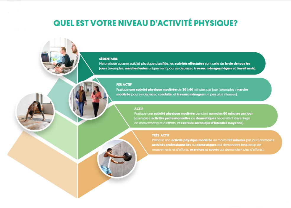 Pyramide activité physique